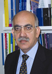 Professor Waqar Ahmad