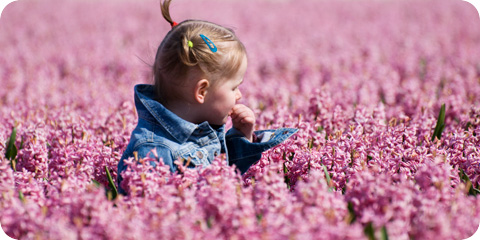 Deaf Parenting UK (DPUK) pink Deaf Parenting UK (DPUK) pink